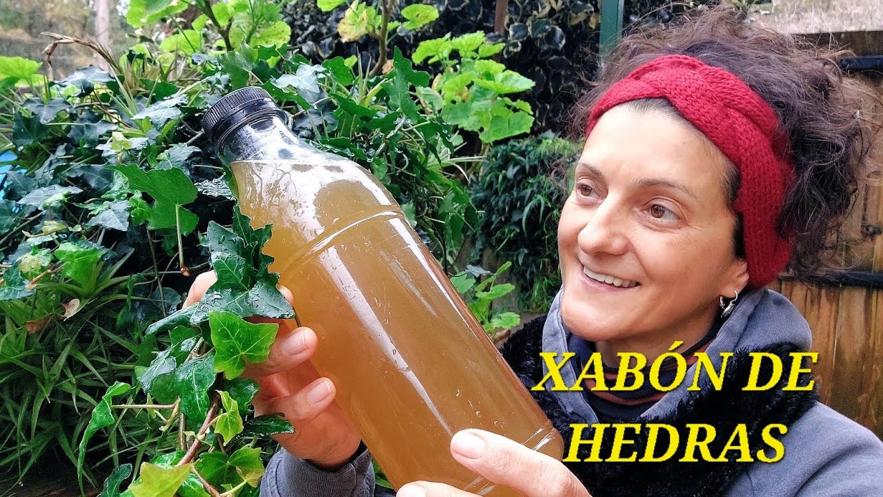 XABÓN DE HEDRAS 🍃💧|| {NUSKA}