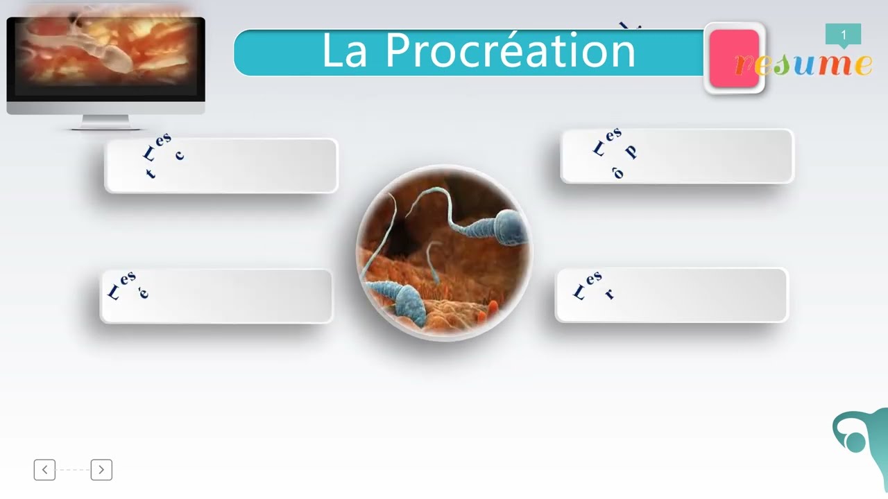 La procréation Bac SVT