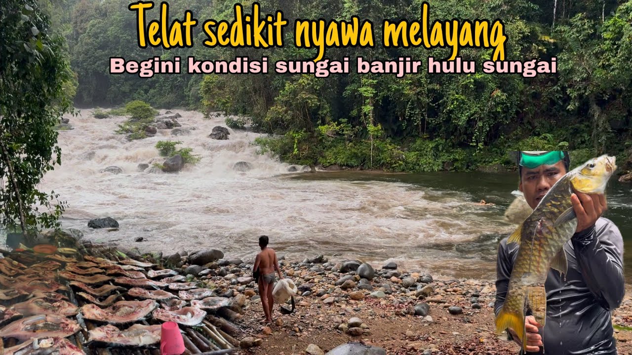 Camp pishing hulu sungai ; BAHAYA ‼️ Beginilah kondisi sungai banjir di hulu sungai 