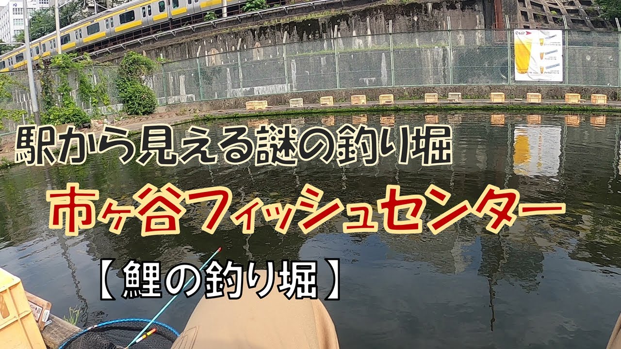 市ヶ谷駅から見える謎の釣り堀に3年ぶりに行ってみた