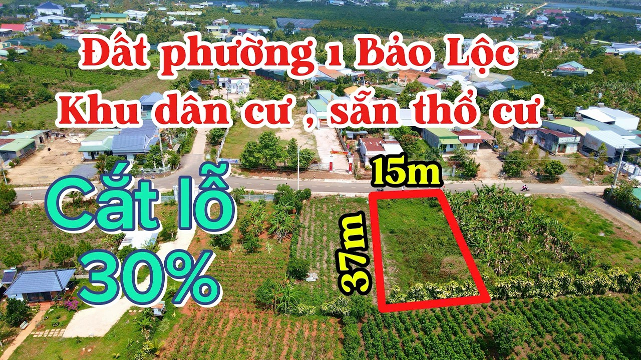 CHỊ CHỦ CẦN BÁN GẤP NỀN BIỆT THỰ TẠI PHƯỜNG 1 BẢO LỘC SẴN THỔ CƯ CẮT LỖ 30% MUA LÀ LỜI NGAY