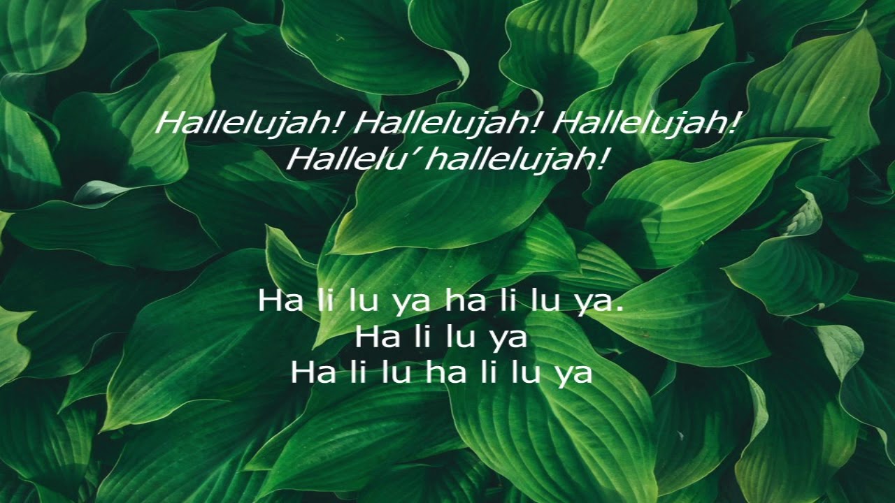 Christadelphian Hymn Book 356 - Seek Ye First