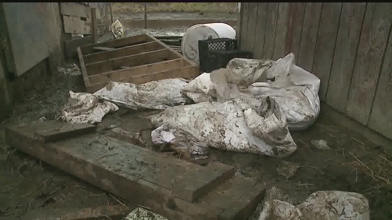 Humane agents: Poor conditions, dead animals at Delaware Twp. farm