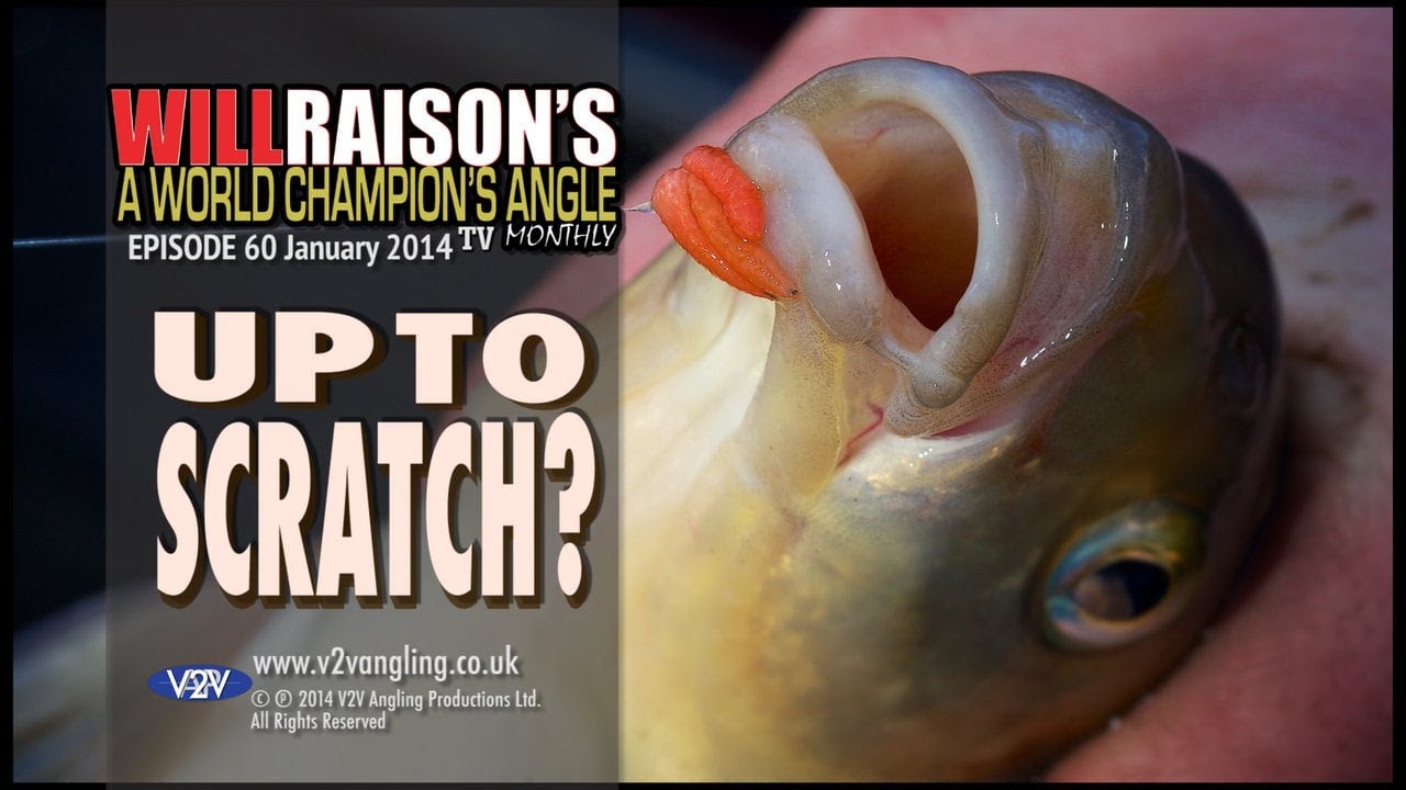 Effective Commercial Fishery Scratching Tactics | Will Raison Fishing
