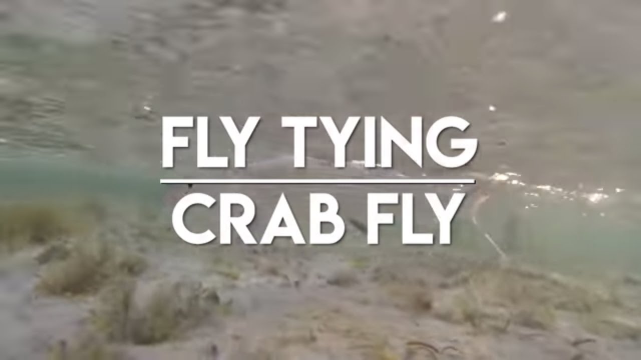 CRAB FLY | Fly Tying