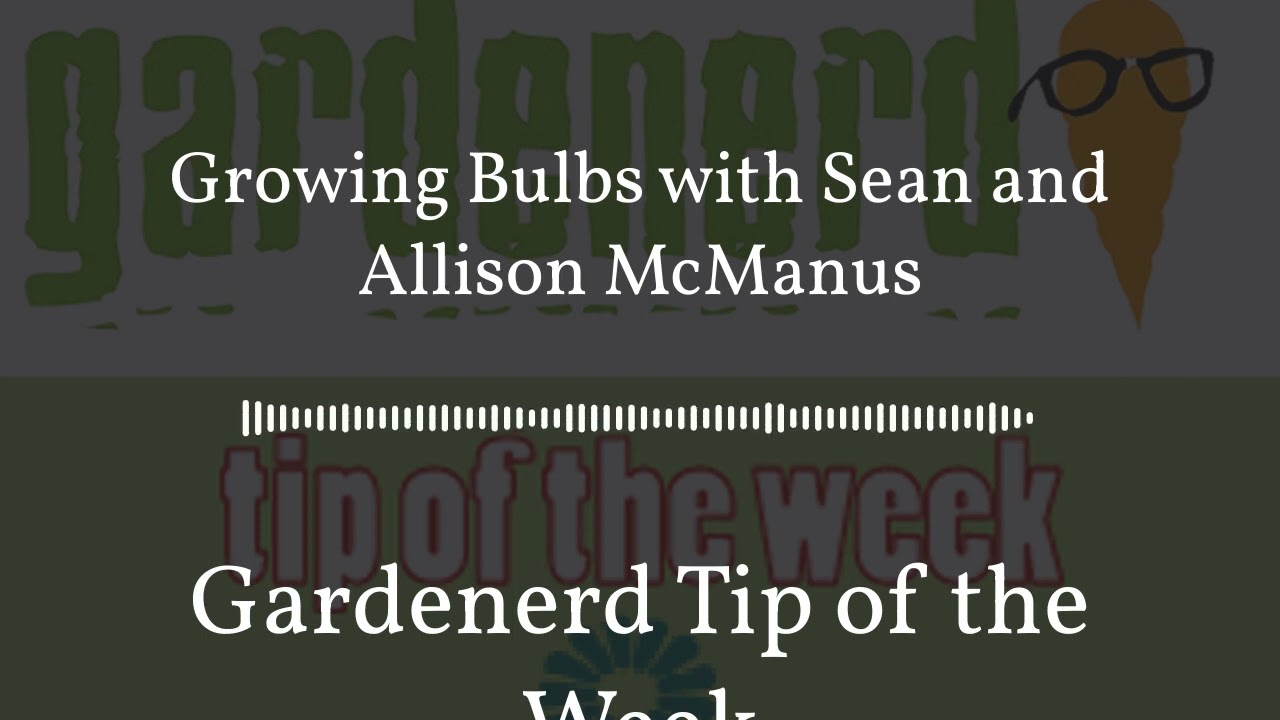 Gardenerd Tip of the Week - Growing Bulbs with Sean and Allison McManus