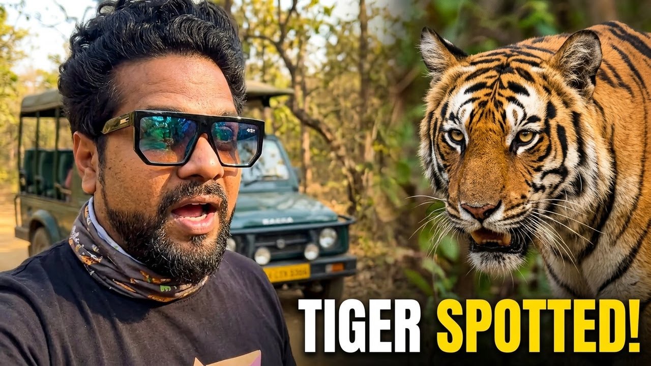 MOST Intense TIGER Safari in Bandhavgarh National Park | Magadhi Zone Canter Safari