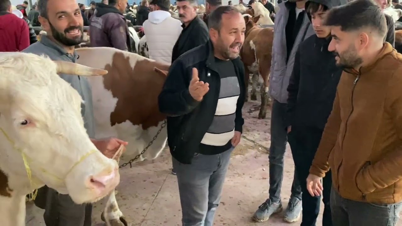 NİĞDE HAYVAN PAZARI 8 EKİM ÇARŞAMBA .!!! Kimin eli kimin cebinde belli değil 