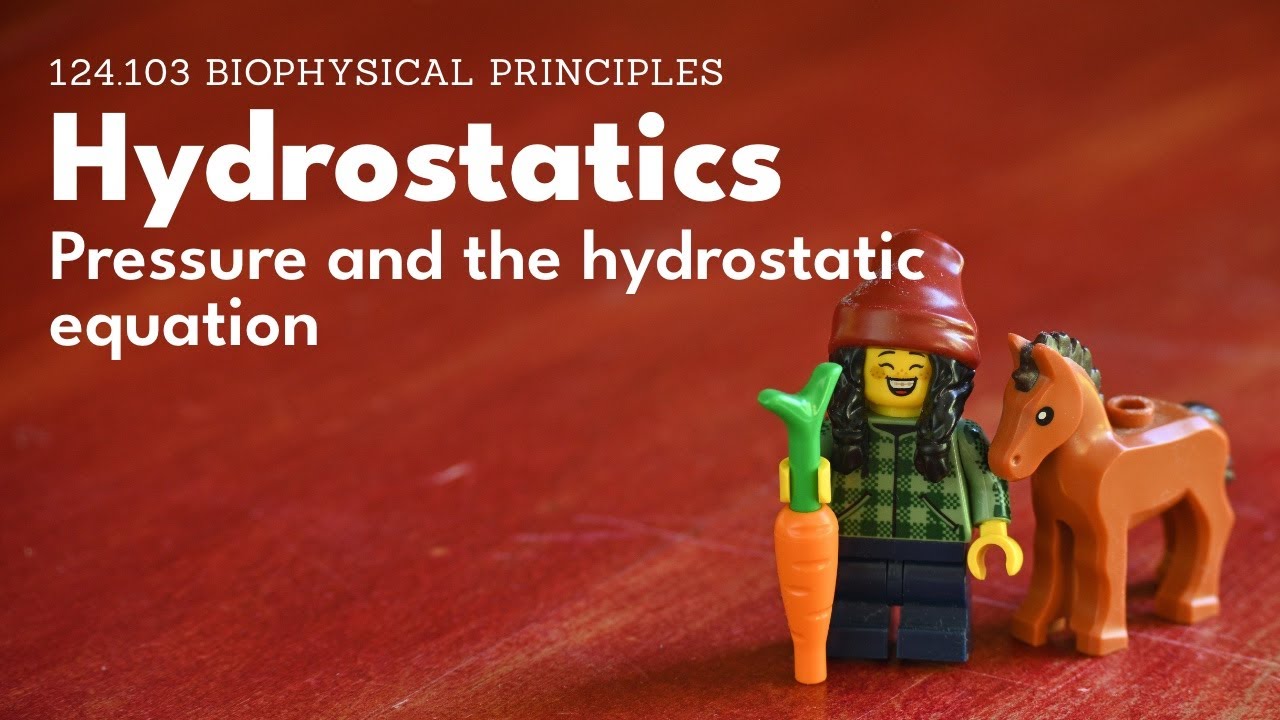 Hydrostatics - pressure and the hydrostatic equation