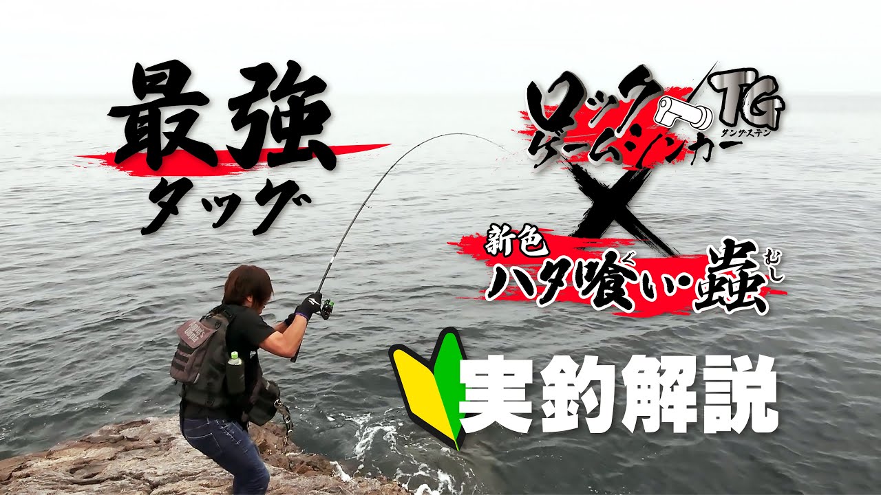 防波堤の横に伸びる地磯には夢がいっぱい！！お手軽だけど釣れる魚は超一級の根魚ゲーム♪