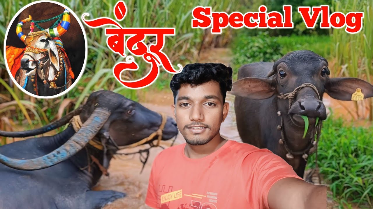 बेंदूर Special Vlog 💫|| #sahilshinde #vlog #farming #village #villagelife
