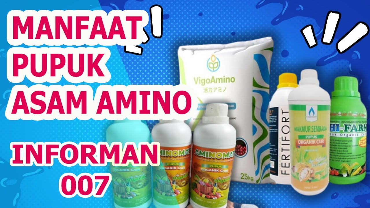 SEBERAPA PENTING ASAM AMINO UNTUK TANAMAN? INI DIA MANFAAT ASAM AMINO UNTUK TANAMAN