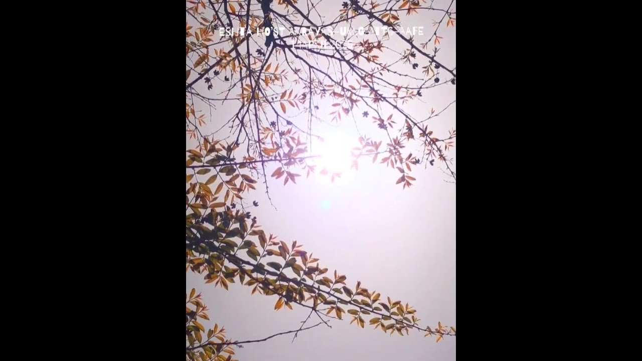 Celestial Blue Sun Radiant Light with GOD Happy Healing Frequencies! Day 1