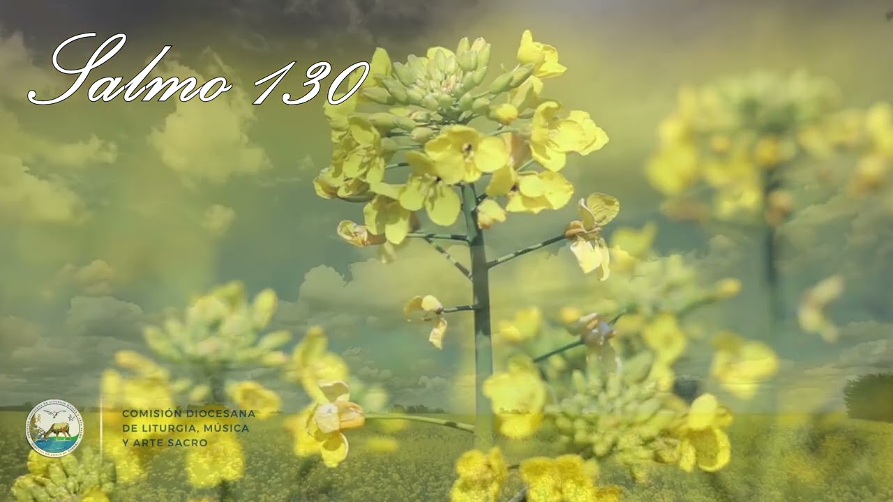 Salmo 130 - Domingo XXXI ciclo A