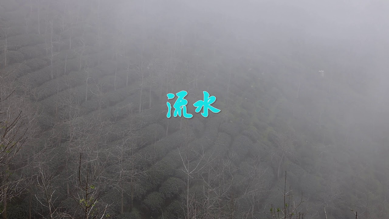 古琴演奏 蜀中琴韻