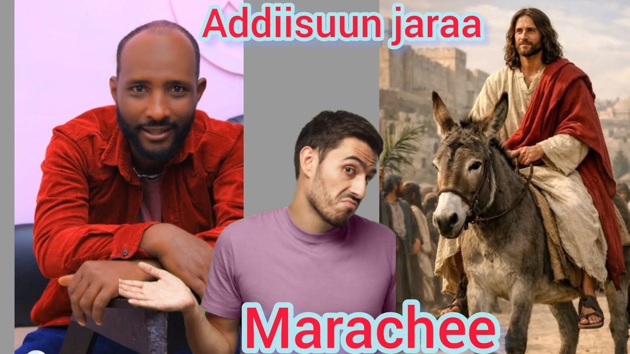 Addiisuun iyyasuus ergamaa tahuu irrattii   yeroo ibsuu