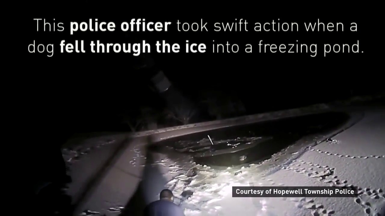 Police Officer Crawls Across Ice To Rescue Trapped Dog