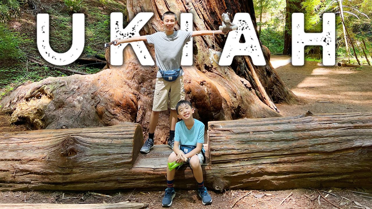 Things To Do in Ukiah, California | Mendocino County Road Trip