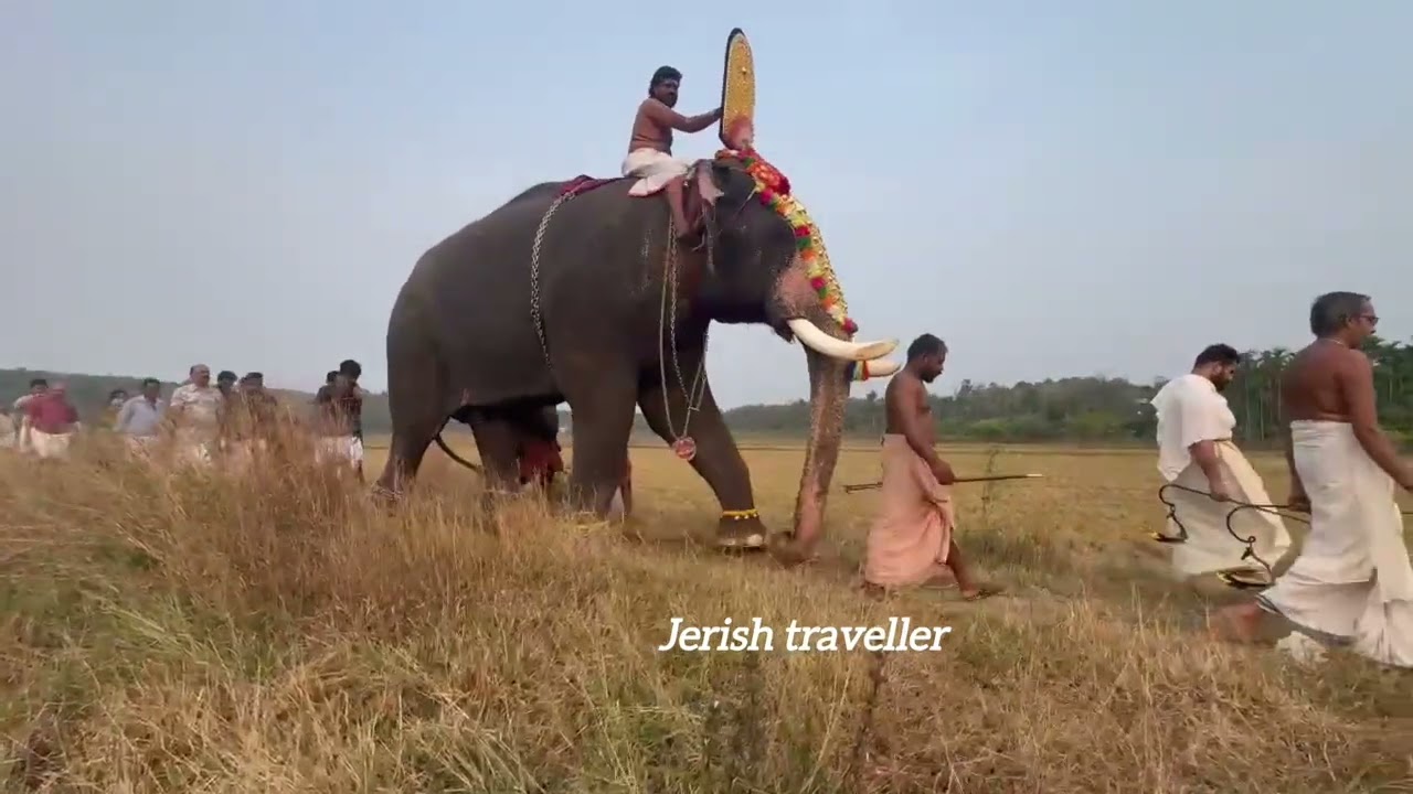 വായില്യ കുന്നില്ലപ്പൻ ക്ഷേത്ര താലപൊലി 