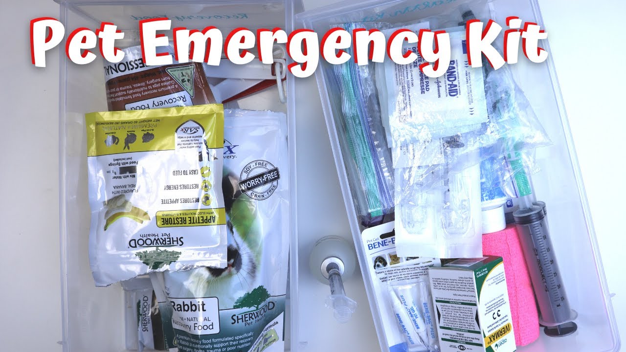 Guinea Pig First Aid Kit // Rabbit First Aid Kit