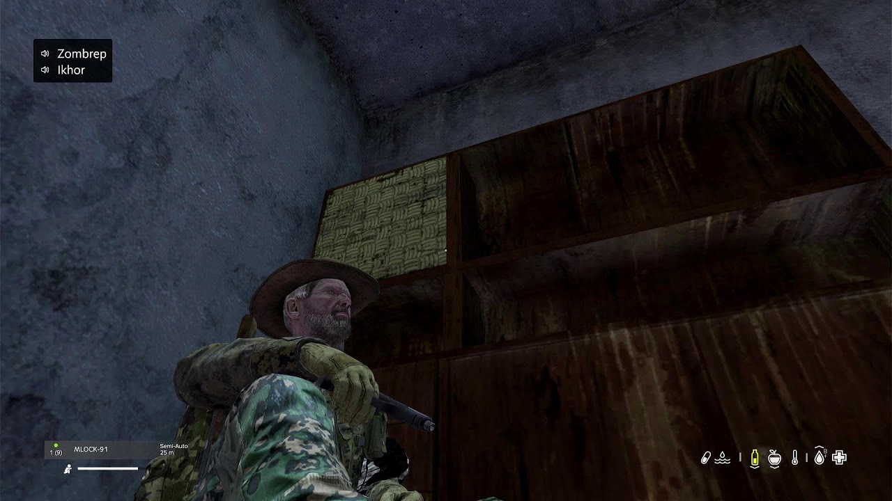 Dayz Sunday