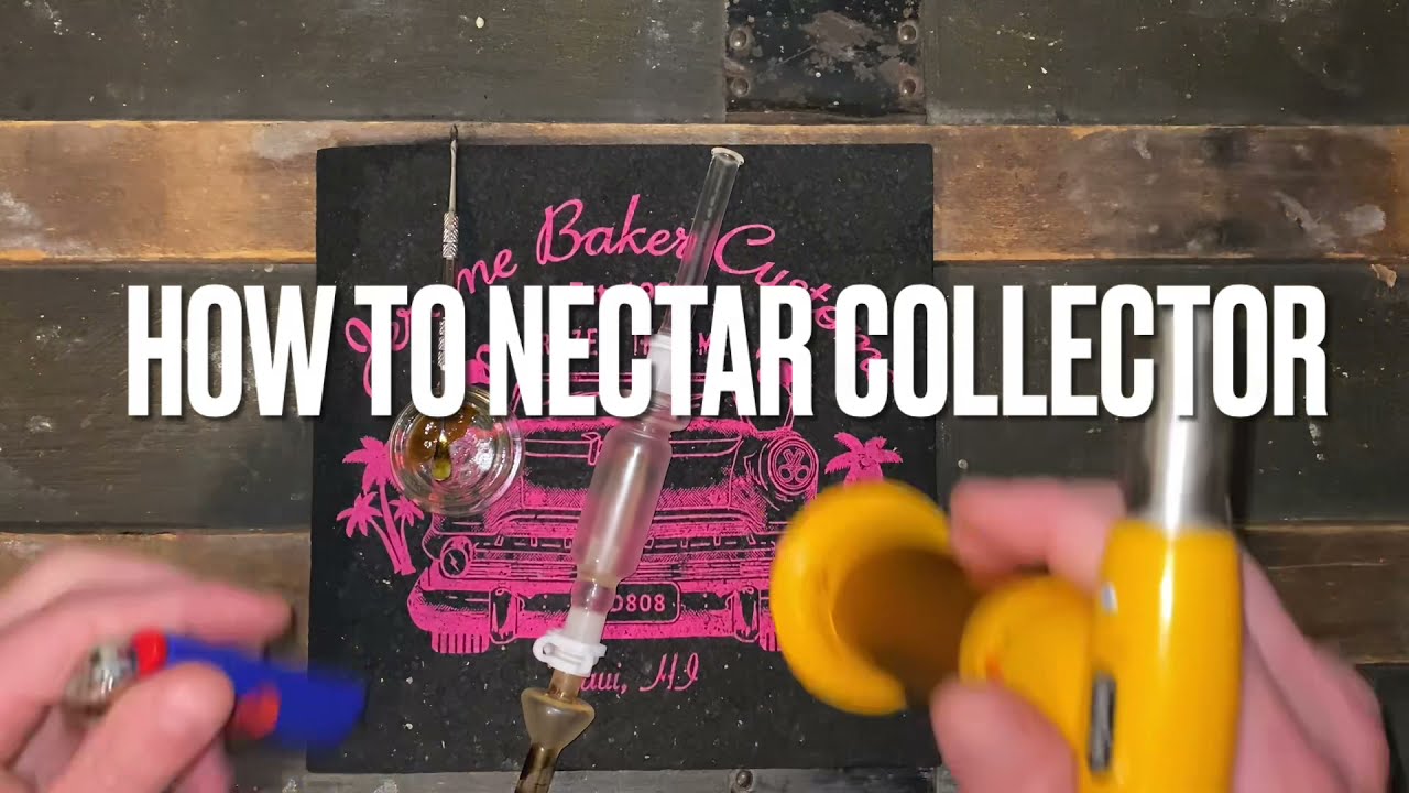 How To Dab and Use Nectar Collector |Hummingbird Slurps For Retards