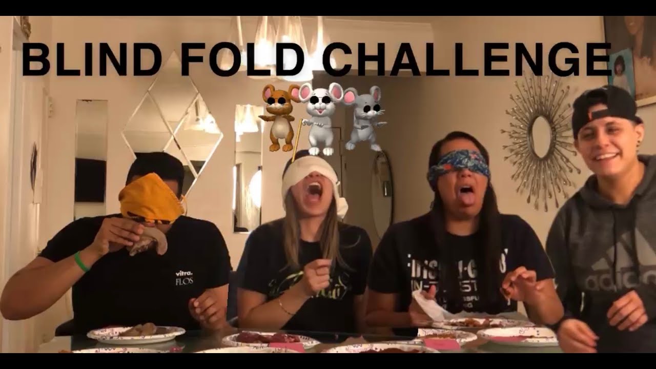 Blindfold Challenge! Eat it, touch it or smell it!