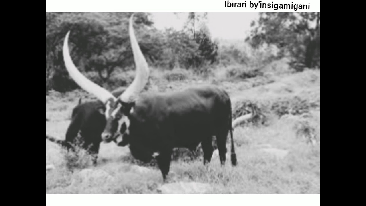 Insigamugani 60: 