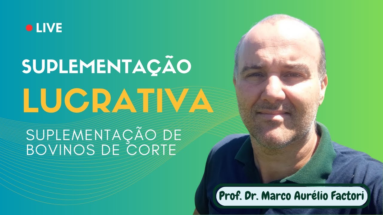 Suplementação Lucrativa