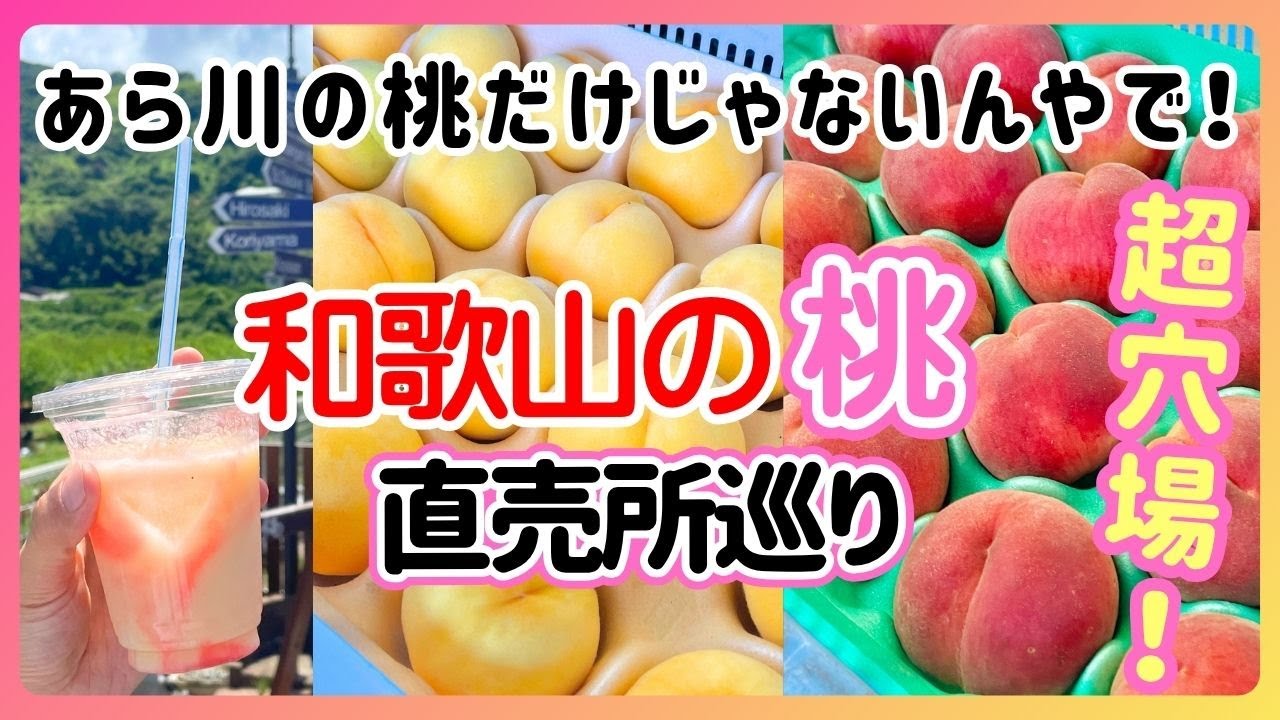 【幻の桃 つきあかり】和歌山の桃は「あら川の桃」だけじゃないんやで！穴場の直売所めぐり【清水白桃 なつっこ 紀州白桃 紀の川市 かつらぎ町 かつらぎの桃 】