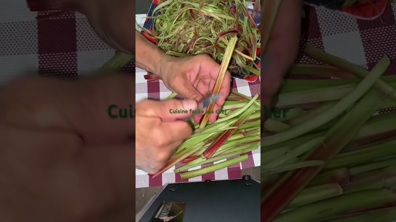 Comment pr&eacute;parer la RHUBARBE avant la confiture #cuisinefacilepascher #food