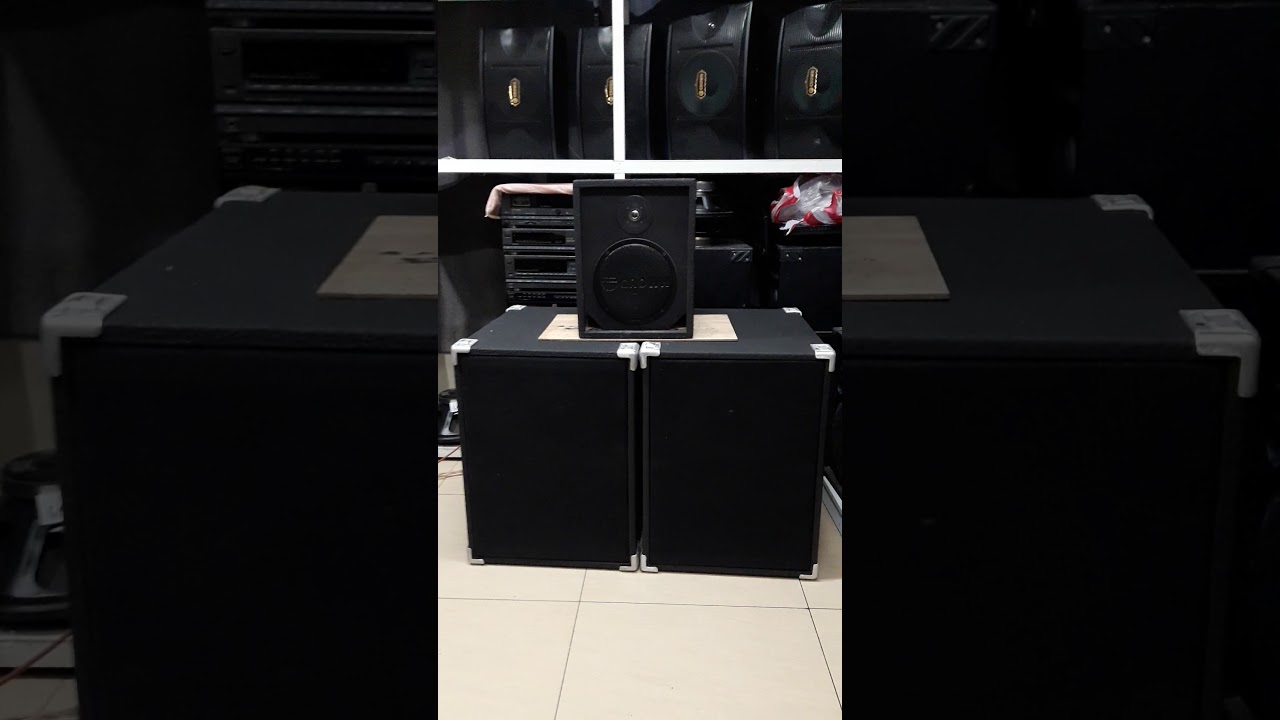 Miniscoop Subwoofer with Crown JH-157