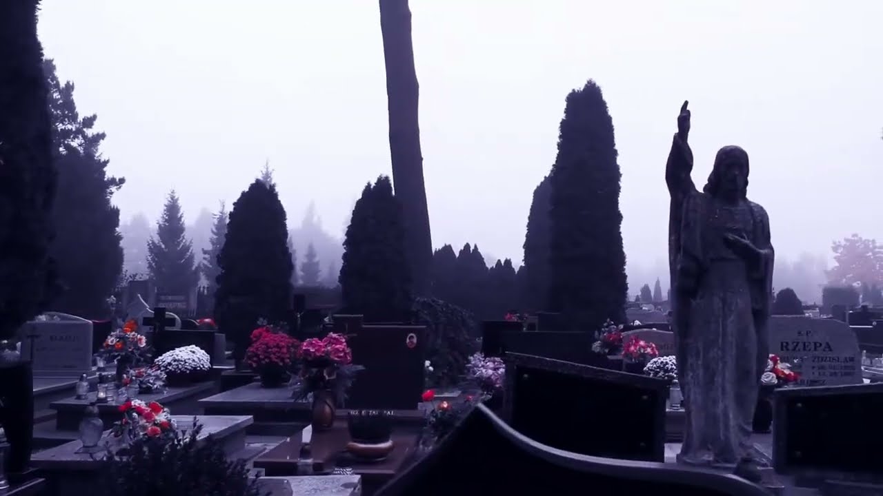 The Name is Mine. What if you didn’t know you were dead…. Bleeding Faith