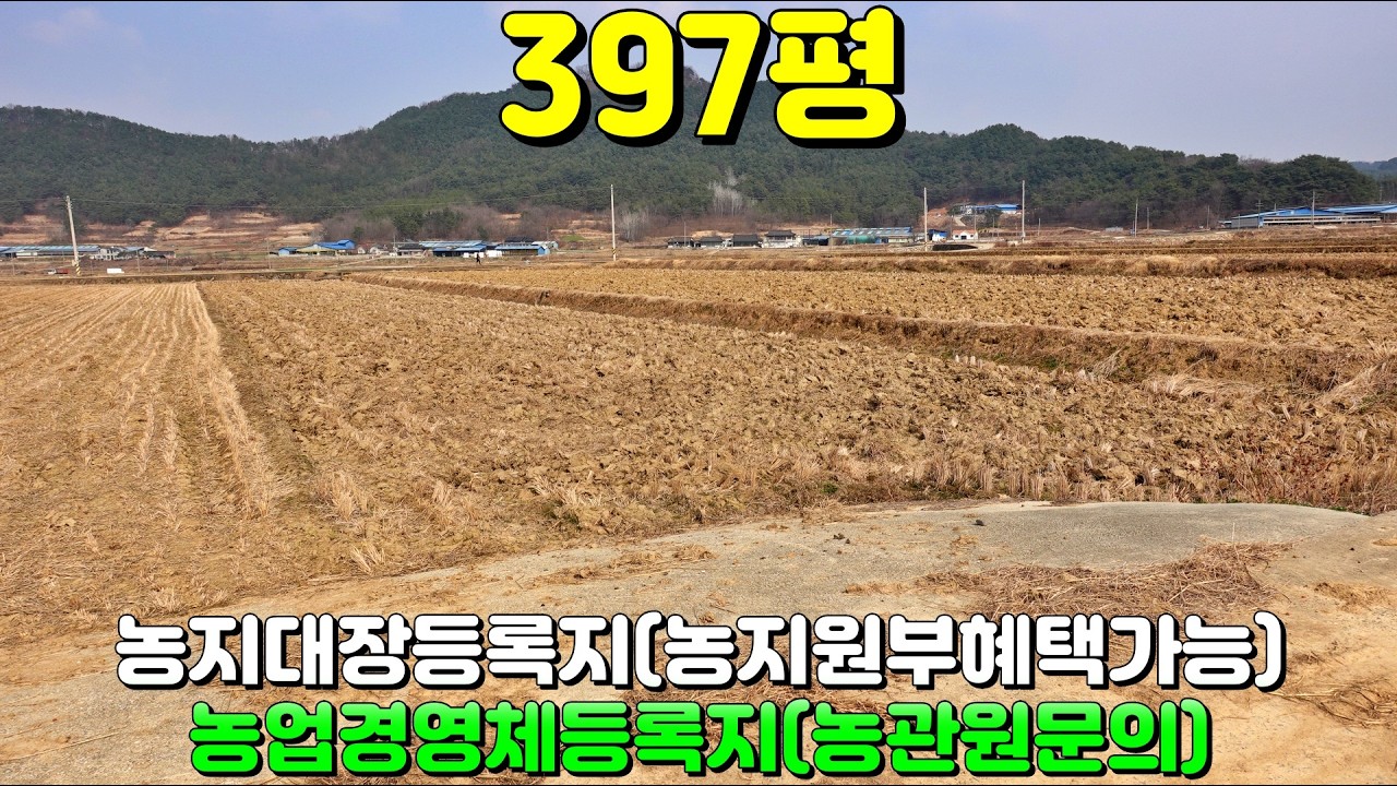 NO:1-1504번#합천군땅#합천땅#합천군부동산#합천부동산#합천군용주면손목리농지매매#합천군용주면손목리농경지매매#합천군용주면손목리농장지매매#합천군용주면농지매매#합천군용주면농경지매매