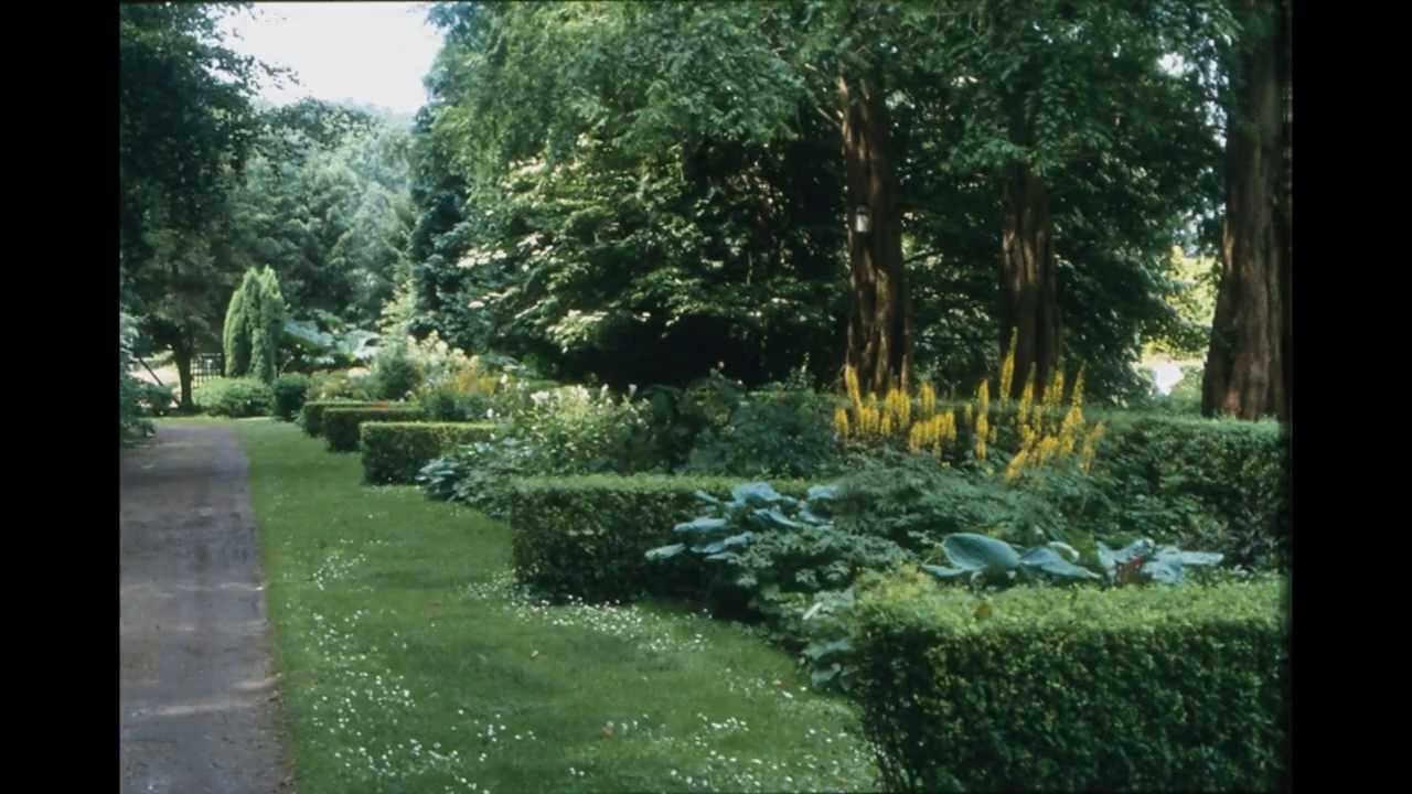 Schaduwborders
