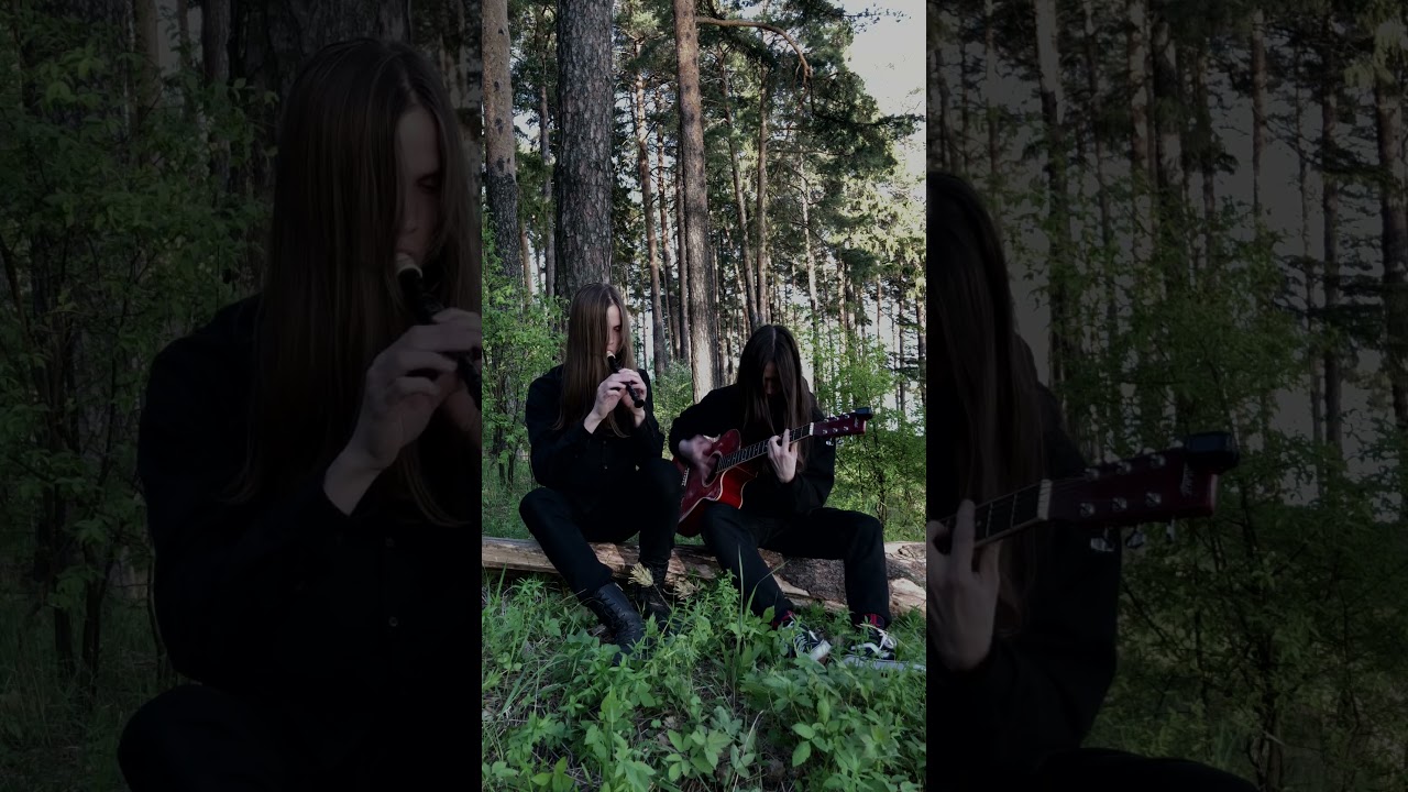 Burzum - Dunkelheit cover #blackmetal #guitarcover #flute #metalhead #burzum #vargvikernes