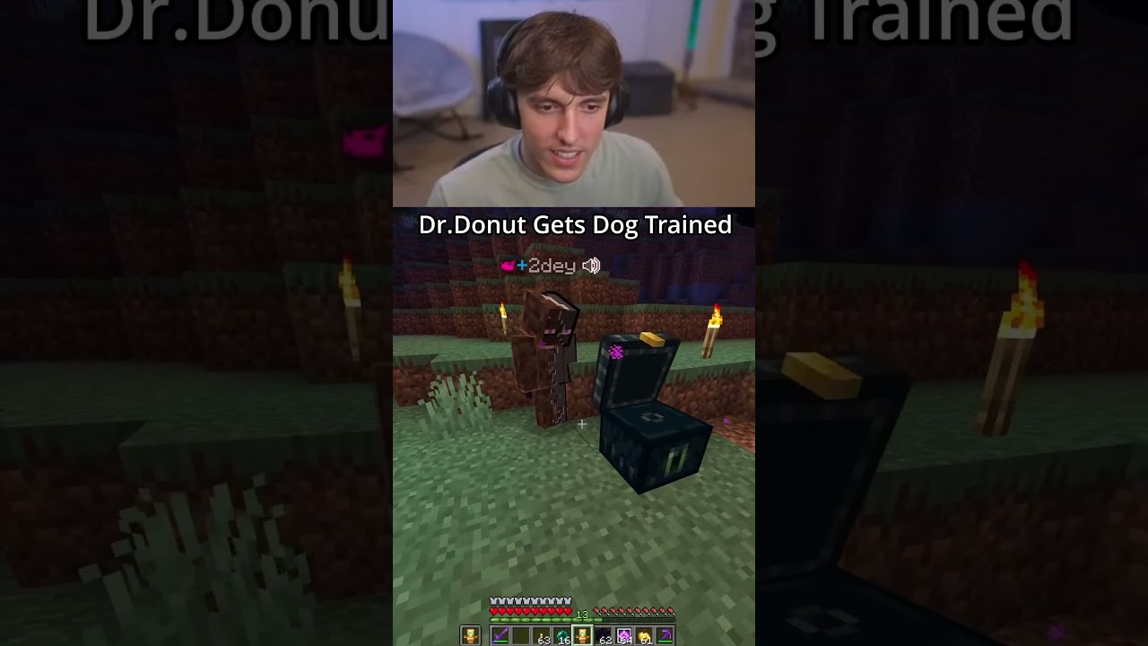 I Dog Trained Dr Donut Without Him Knowing