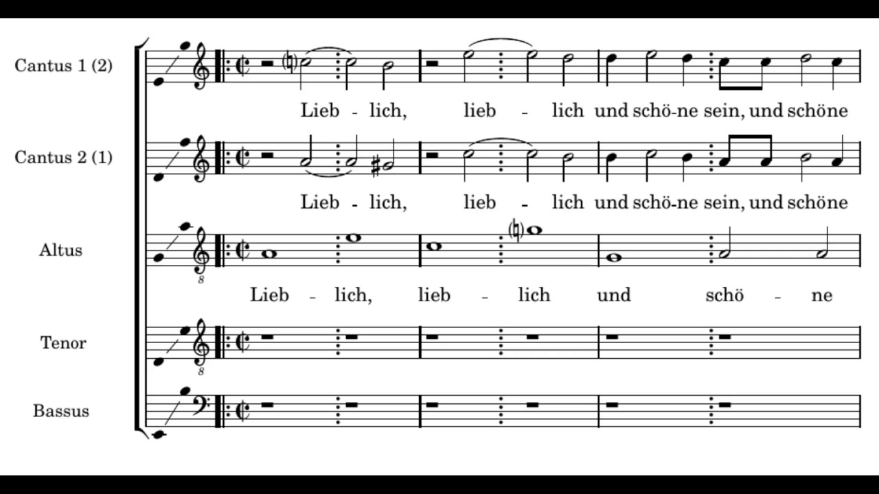 Schein: Lieblich und schöne sein ist nichts - Herreweghe