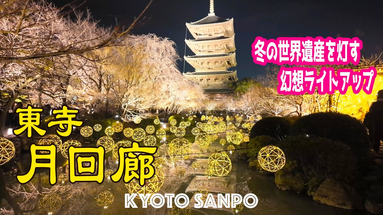 2026/2/12(木) 🌕 1ヶ月の特別空間 🌠  冬の世界遺産『東寺月回廊ライトアップ』幻想に包まれる世界遺産ナイトウォークVlog /冬の京都/冬さんぽ/Kyoto walk [京都4K]