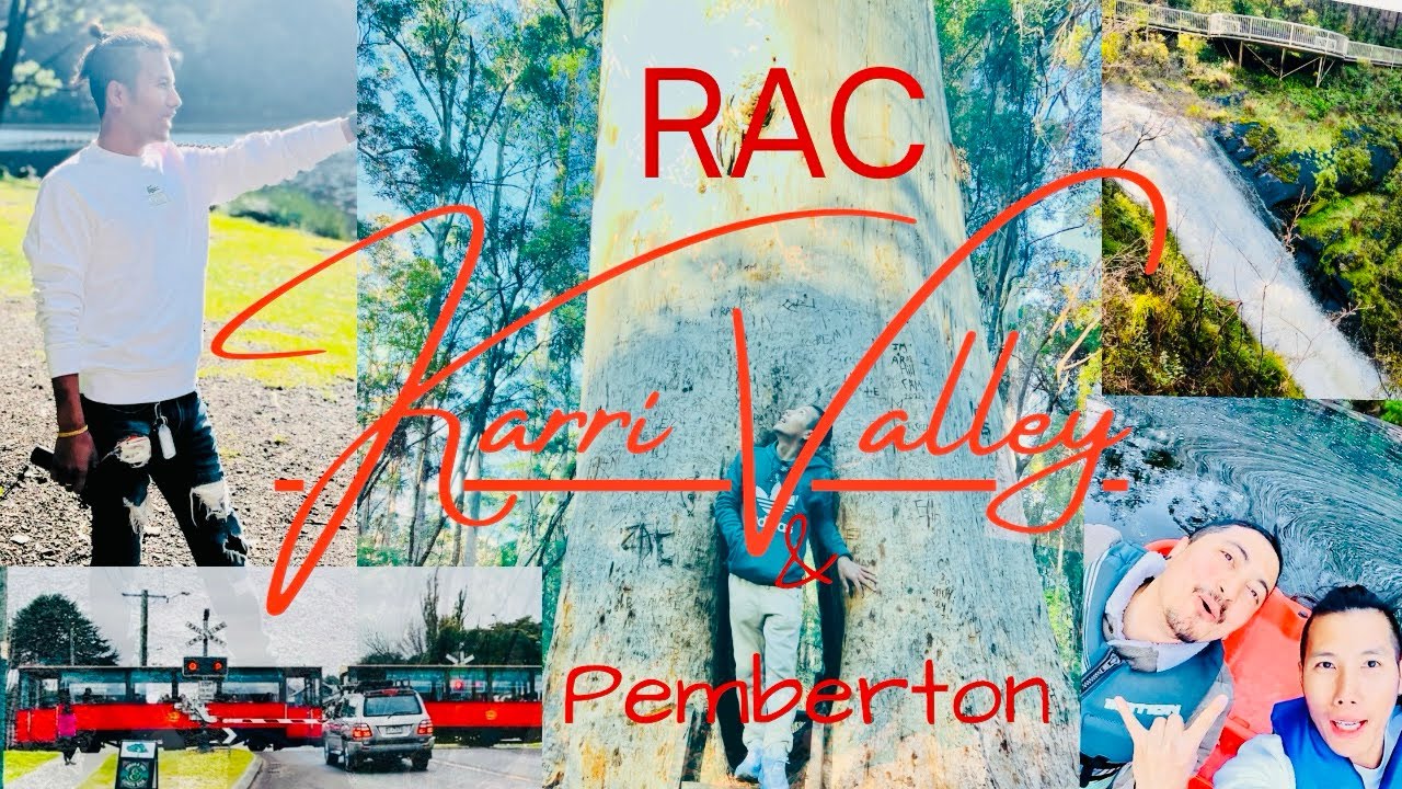 RAC Karri Valley Resort & Pemberton Trip ! Overnight Stay !
