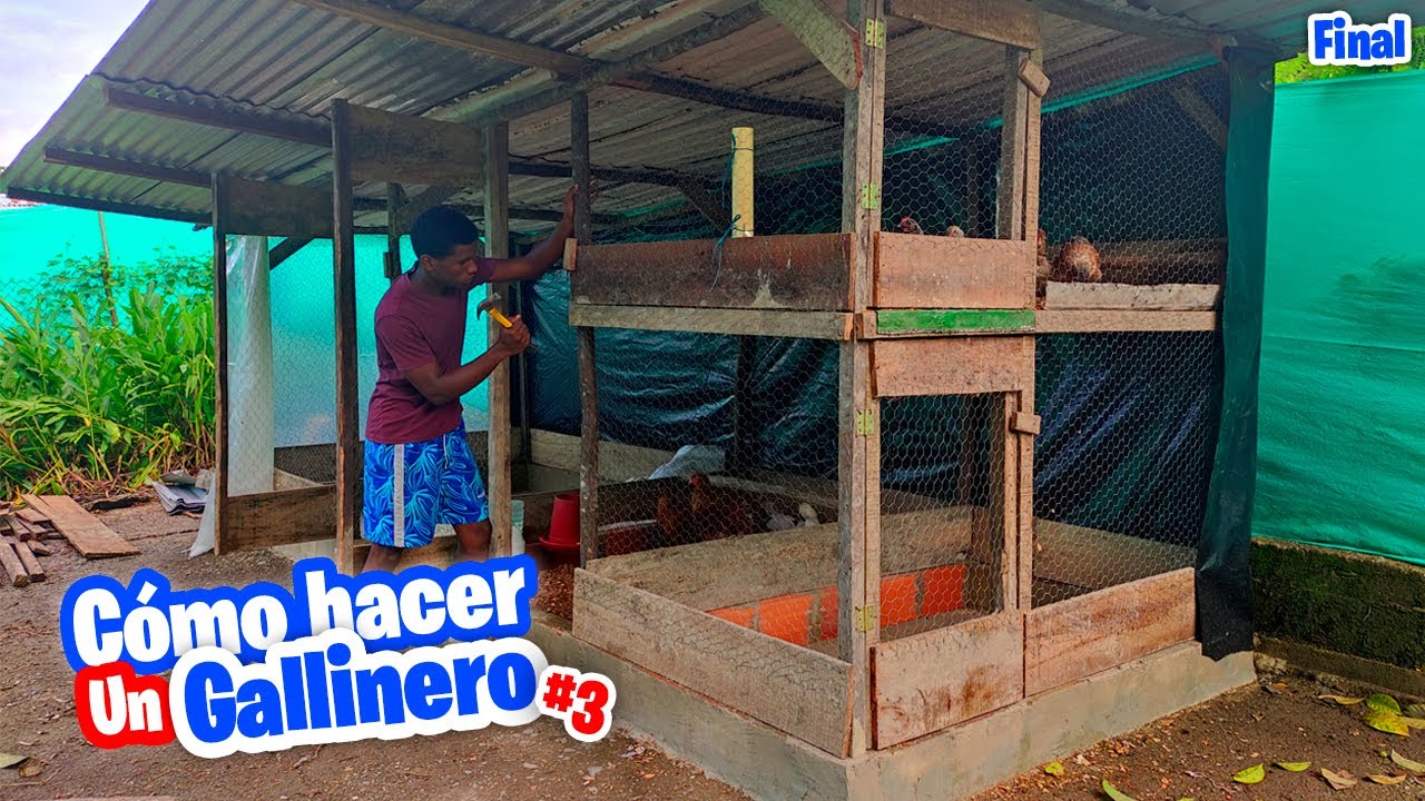 Construyendo el Nuevo Gallinero | Como Hacer el Mejor GALLINERO Parte 3 Final