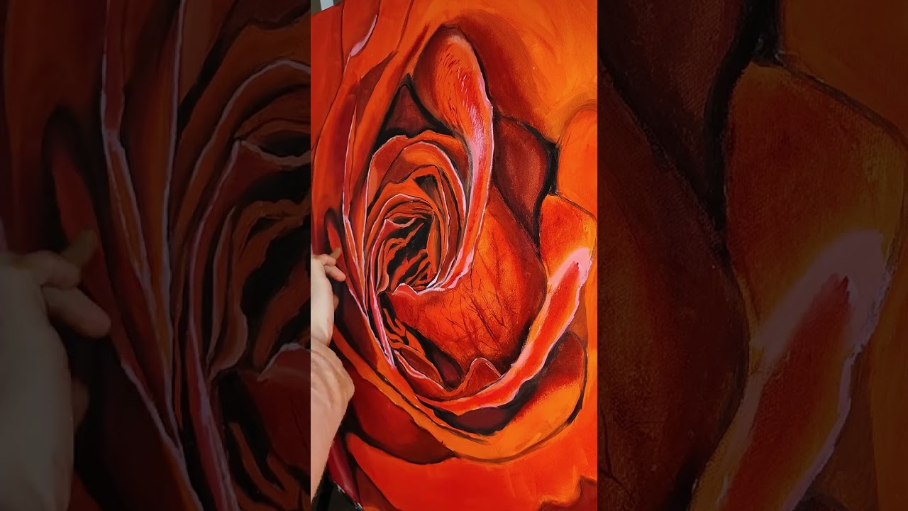 Step by step in painting red rose using oil colors
