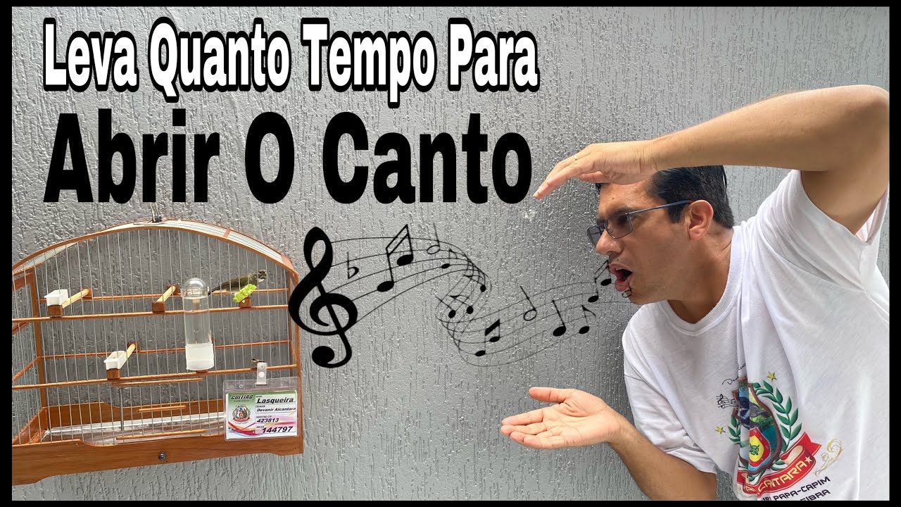 PAPA-CAPIM PARDO LIMPA O CANTO COM QUANTO TEMPO