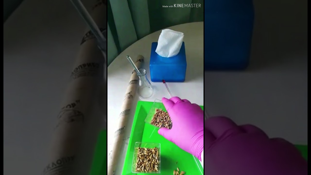 Уытты өндіру процессі