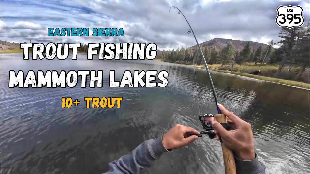 Trout Fishing Eastern Sierra (Mammoth Lakes) 10+ Fish 