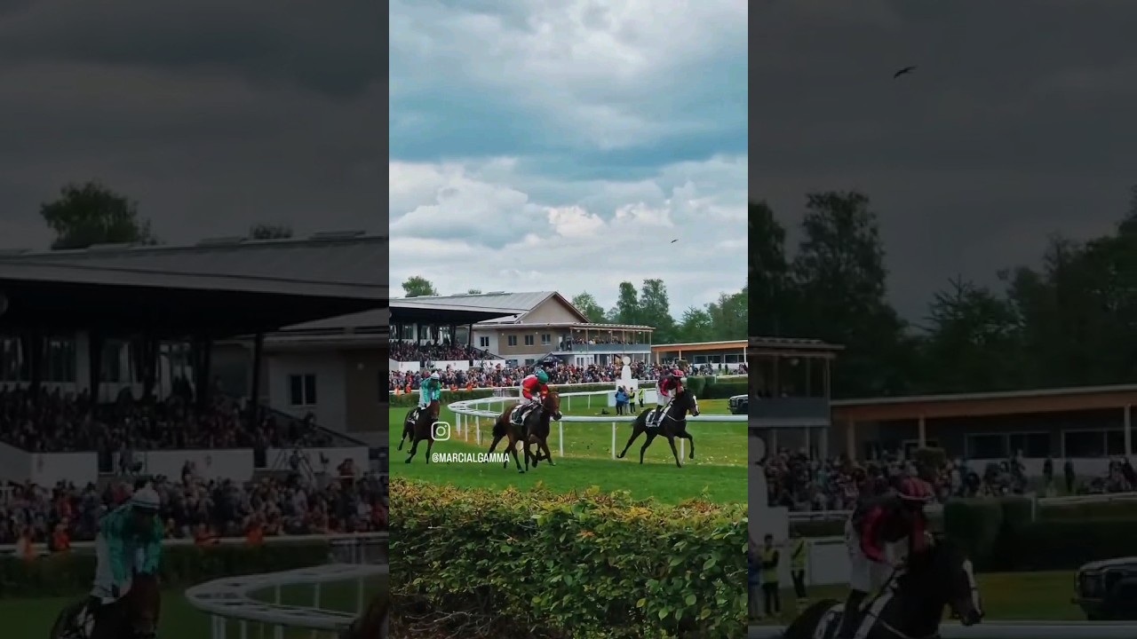 Horse racing #2023 #youtubeshorts #samsung #switzerland #zurich #horse #race #horseracing #event