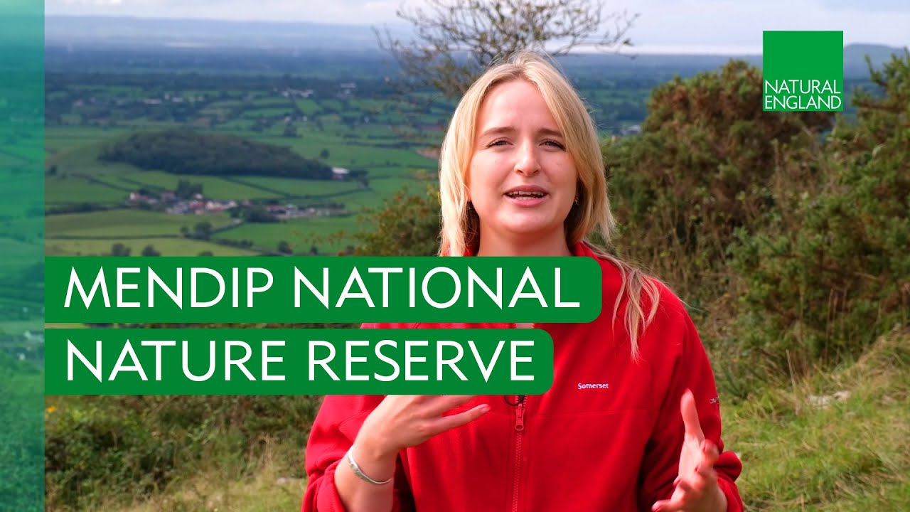 Mendip 'super' National Nature Reserve