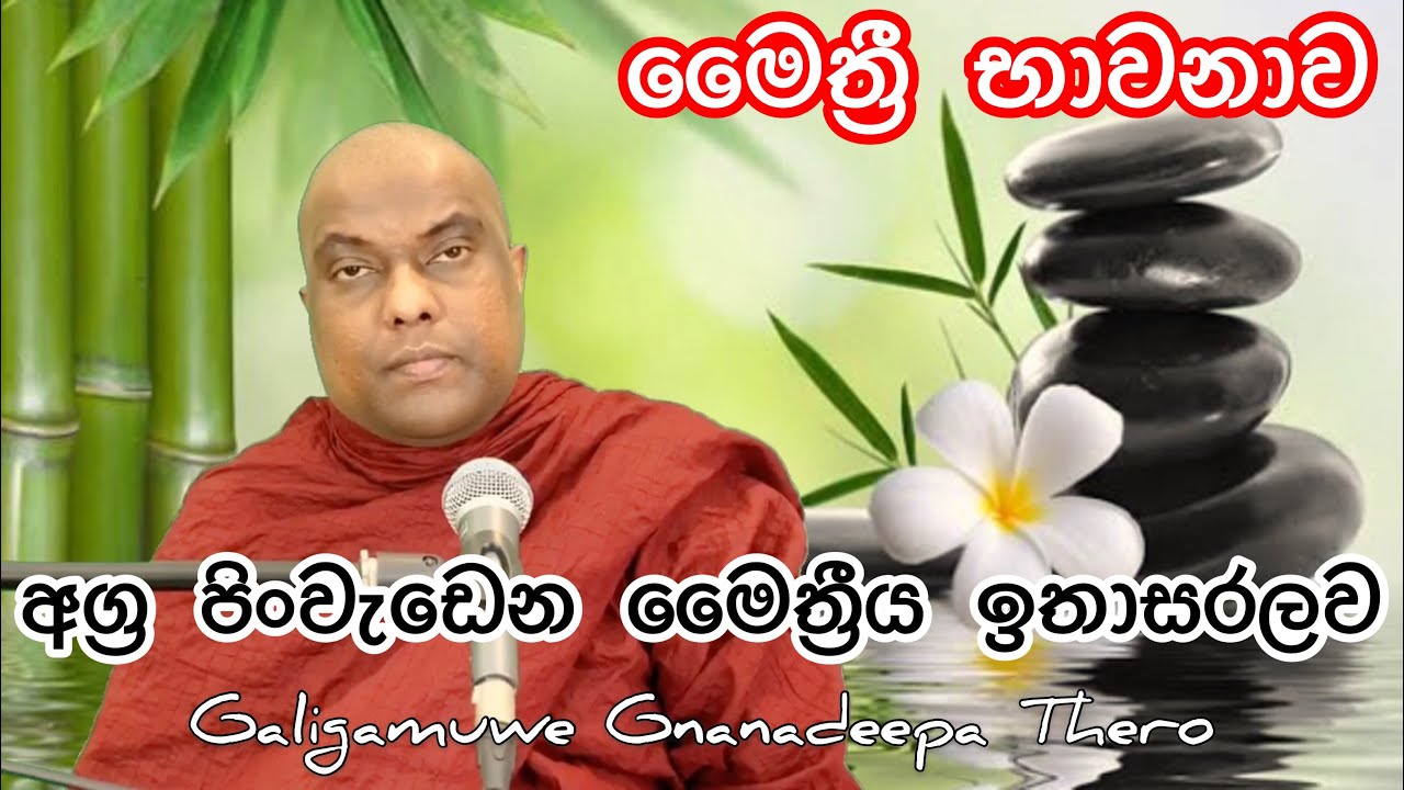 මෛත්‍රී භාවනාව සරලව මුලසිට, අග්‍ර පිංවැඩෙන භාවනාව - Galigamuwe Gnanadeepa Thero - Buddhism