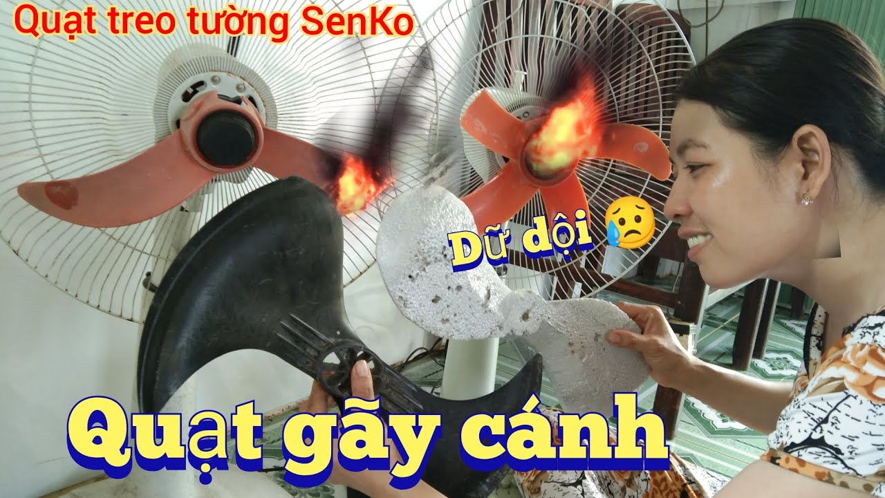 Quạt gãy cánh dữ dội - thay cánh quạt gió 2 cánh độc lạ | sửa quạt điện tại nhà