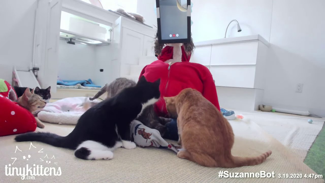 Virtual Snuggles with the Suzanne Bot (the best thing you'll see today)